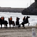 Carrera de caballos y burros