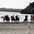 Carrera de caballos y burros