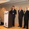 Miguel Ángel Trilles, Alcaid 2015