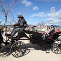 Sant Antoni