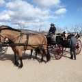 Sant Antoni