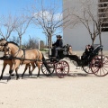 Sant Antoni