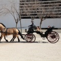 Sant Antoni