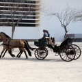 Sant Antoni