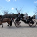 Sant Antoni