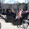 Sant Antoni