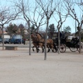 Sant Antoni