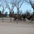 Sant Antoni