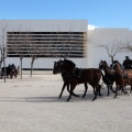 Sant Antoni
