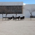 Sant Antoni