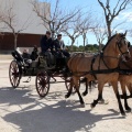 Sant Antoni
