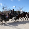 Sant Antoni