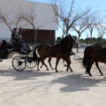 Sant Antoni