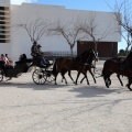 Sant Antoni