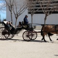 Sant Antoni