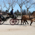 Sant Antoni