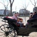Sant Antoni
