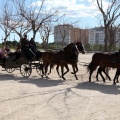 Sant Antoni