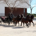 Sant Antoni