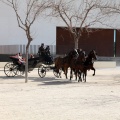 Sant Antoni