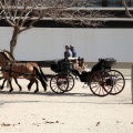 Sant Antoni