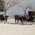 Sant Antoni