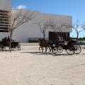 Sant Antoni