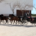 Sant Antoni