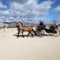 Sant Antoni