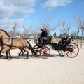 Sant Antoni