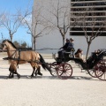 Sant Antoni