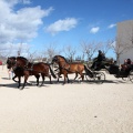 Sant Antoni