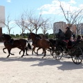 Sant Antoni
