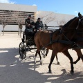 Sant Antoni