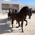 Sant Antoni