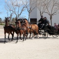 Sant Antoni