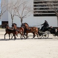 Sant Antoni