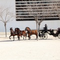 Sant Antoni