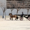 Sant Antoni