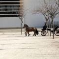 Sant Antoni