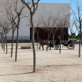 Sant Antoni
