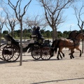 Sant Antoni