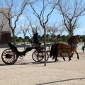 Sant Antoni