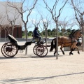 Sant Antoni