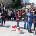 Sant Antoni