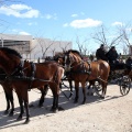 Sant Antoni