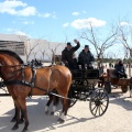 Sant Antoni