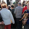 Sant Antoni