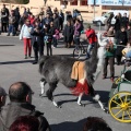 Sant Antoni