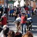 Sant Antoni